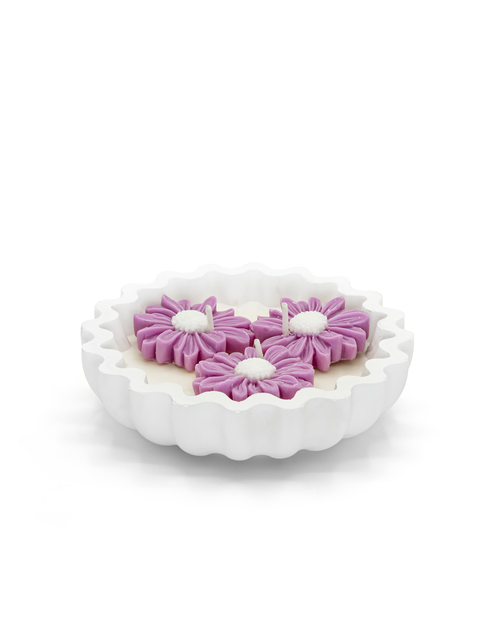 daisy-rosa-frontale